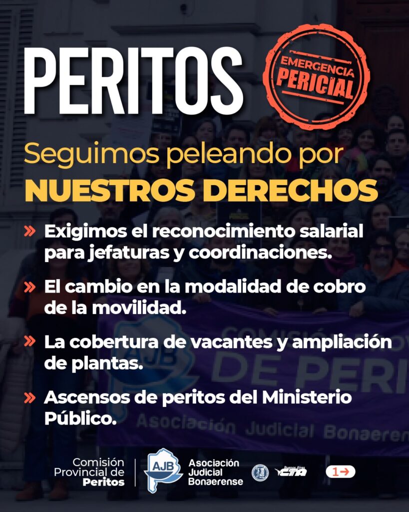 WhatsApp Image 2025-11-13 at 12.08.04