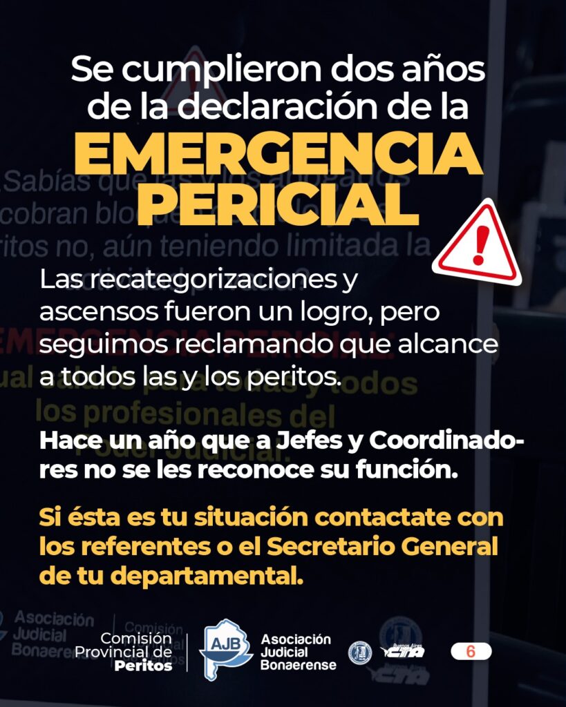 WhatsApp Image 2025-11-13 at 12.08.05