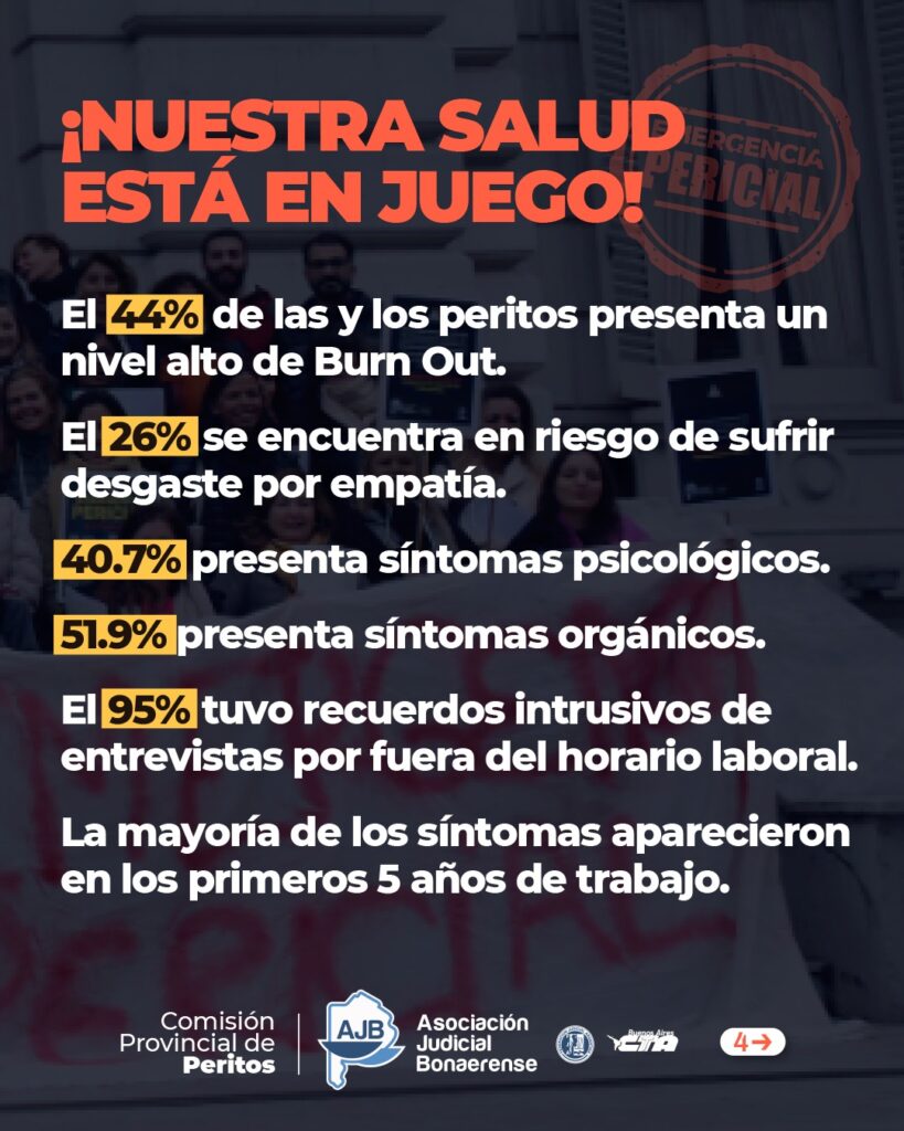 WhatsApp Image 2025-11-13 at 12.08.05(1)