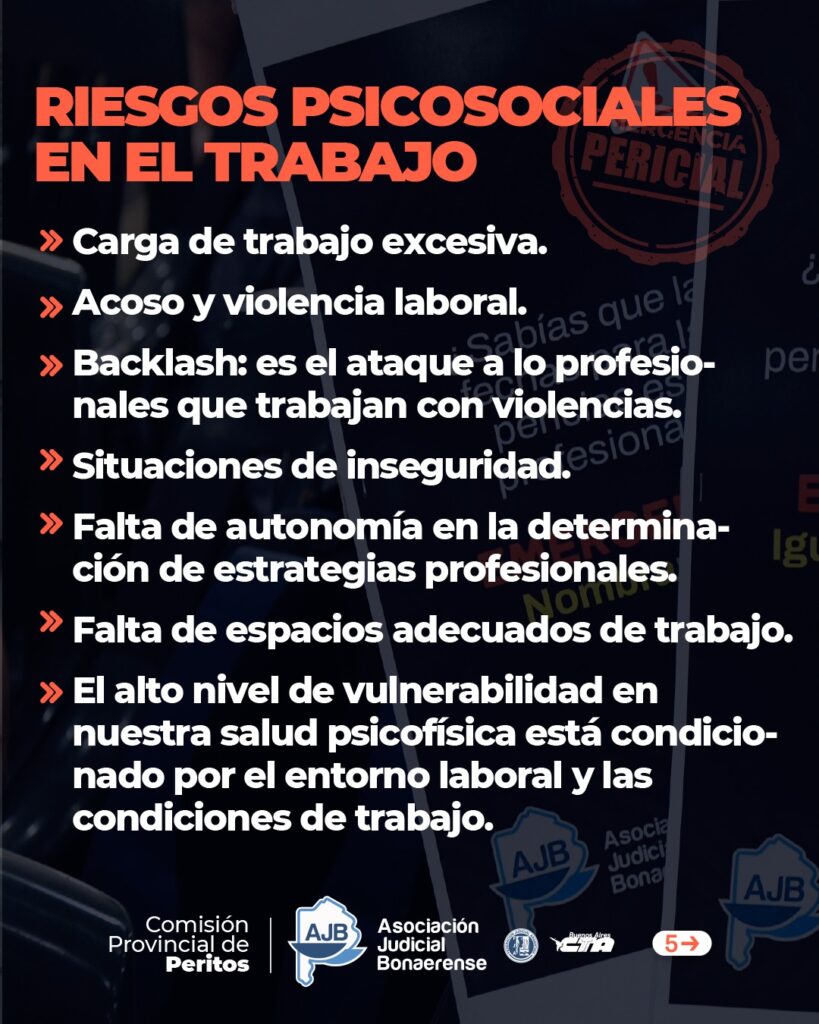 WhatsApp Image 2025-11-13 at 12.08.07