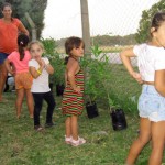 Plantando arbolitos